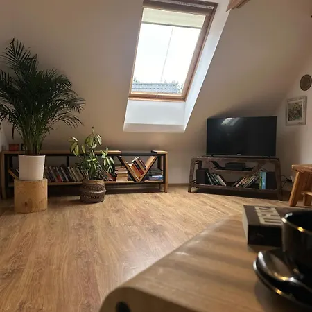 شقة Nad Jeziorem Rybical 1 *